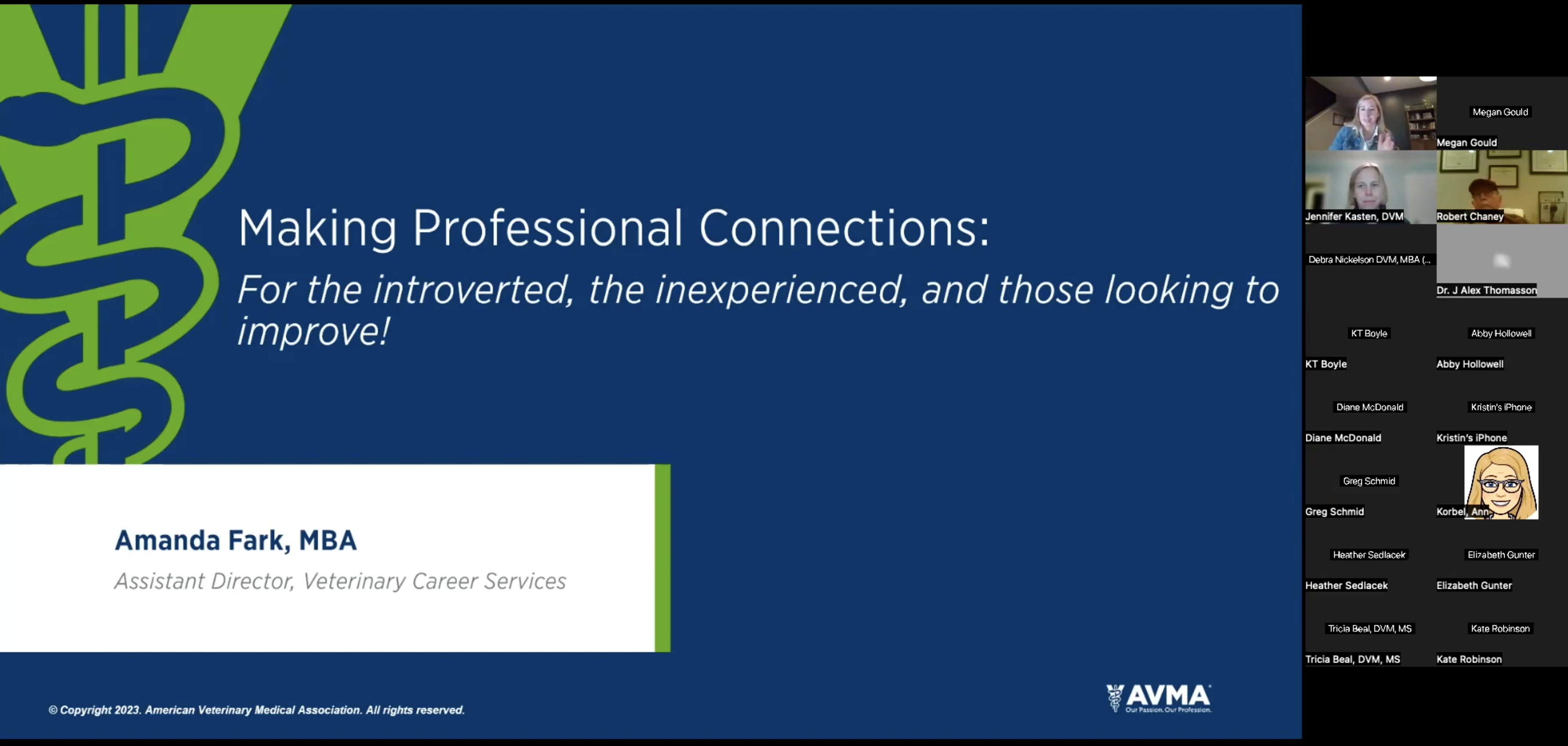 Making Professional Connections webinar thumbnail